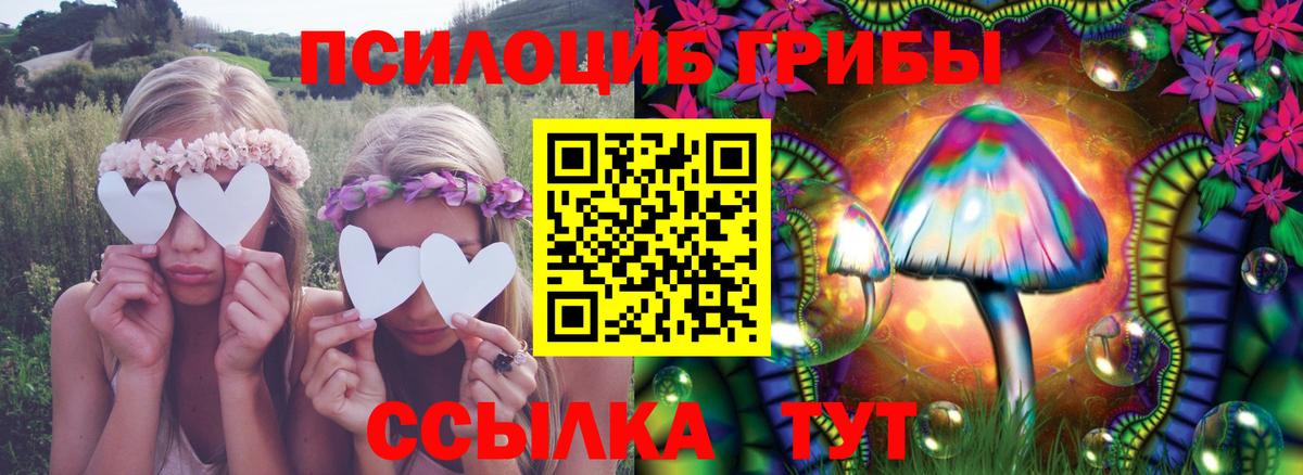 Тамбов  Галлюциногенные грибы GOLDEN TEACHER  Вход с VPN 
